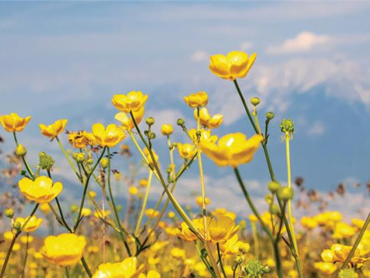 🌎 15 Fun & Fulfilling Ways to Celebrate Earth Month