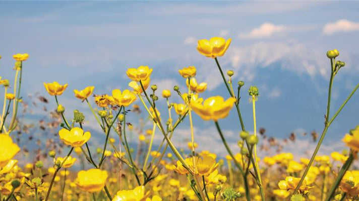 🌎 15 Fun & Fulfilling Ways to Celebrate Earth Month