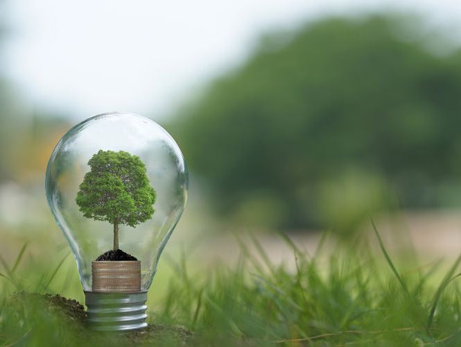 The Environmental Impact of Conventional Cleaners vs. Eco-Friendly Alternatives