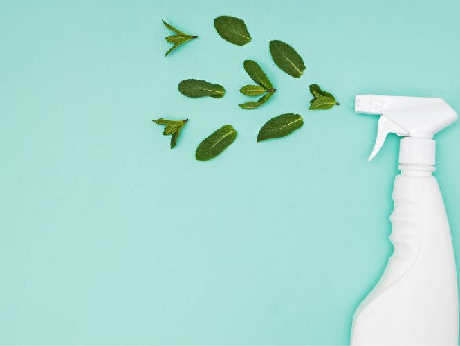 The Science Behind Plant-Based Cleaning: How It Works