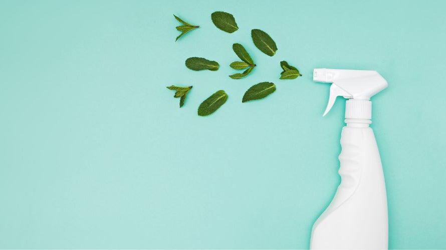 The Science Behind Plant-Based Cleaning: How It Works