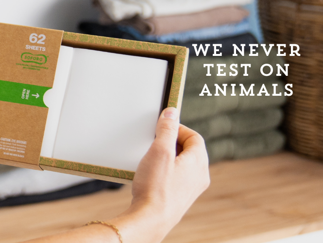 Making Ethical Choices in Your Home