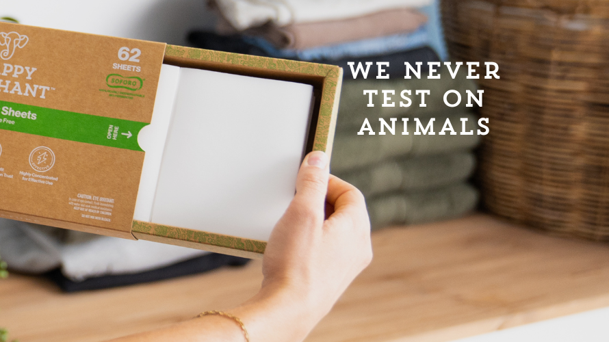 Making Ethical Choices in Your Home