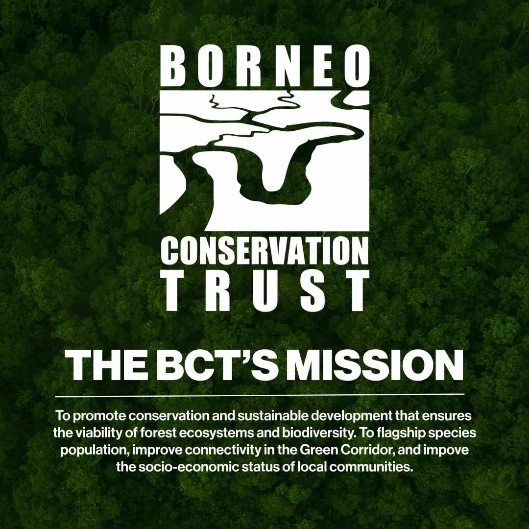 Dish Soap - Happy Elephant USA