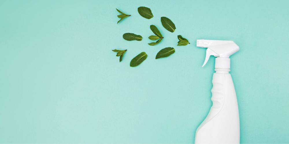 The Science Behind Plant-Based Cleaning: How It Works