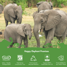 Laundry Detergent - Happy Elephant USA